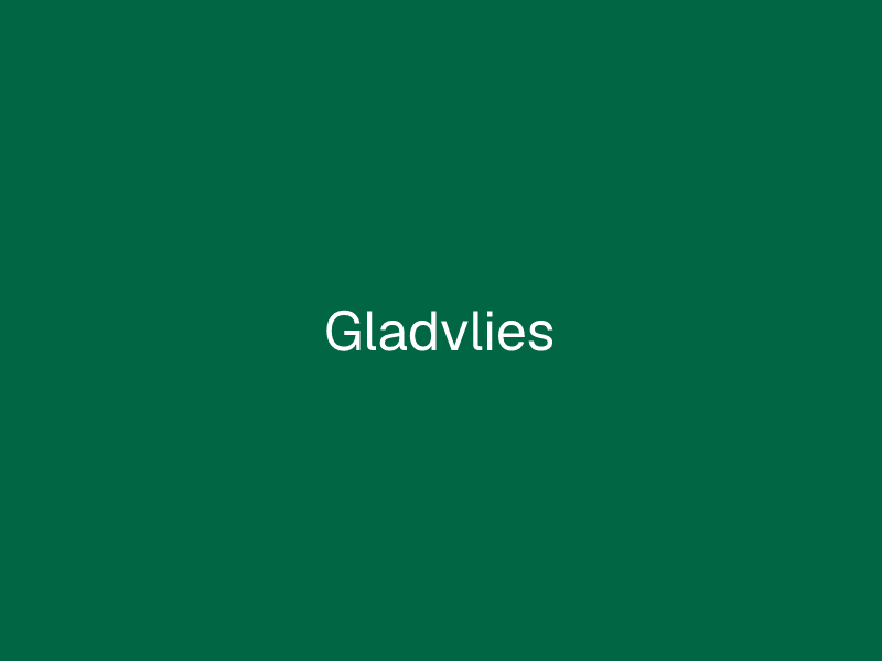Gladvlies