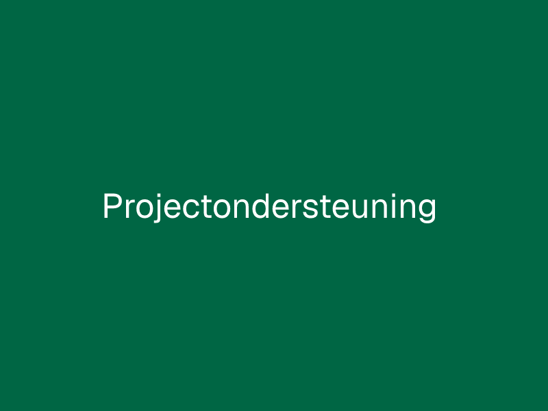 Projectondersteuning