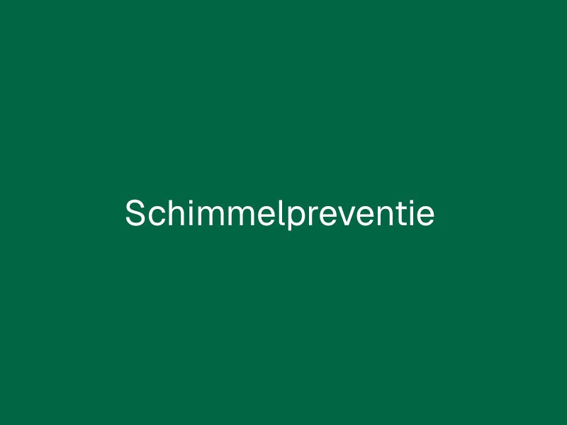 Schimmelpreventie