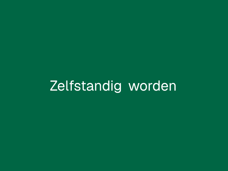 Zelfstandig worden