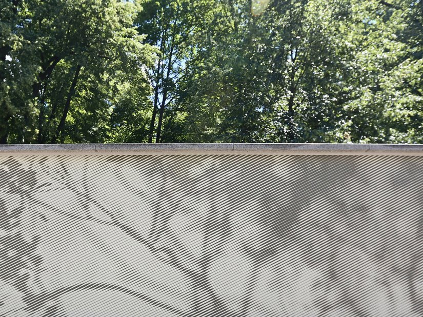 De grafische weergave van abstracte silhouetten van takken en bomen creëert onderbewust een zonnig gevoel.