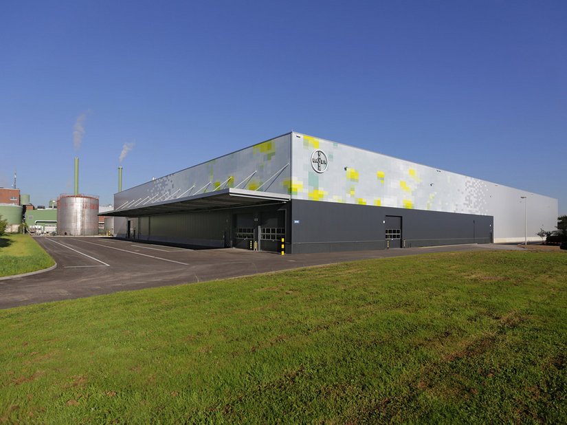 Vanaf de overzijde van de Rijn kan dit sterk vervreemdende motief als een koolzaadveld worden herkend.
