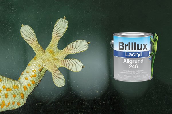 Het hechtingswonder: Lacryl Grondverf 246