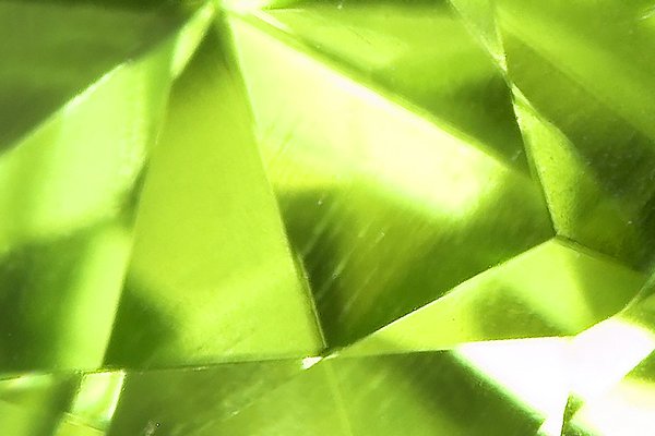 Stijlkaart van het moment: "Gewaagd groen"